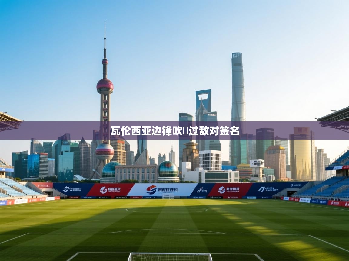 瓦伦西亚边锋吹風过敌对签名 第1张