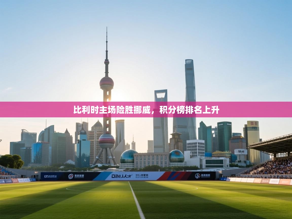 比利时主场险胜挪威，积分榜排名上升  第2张