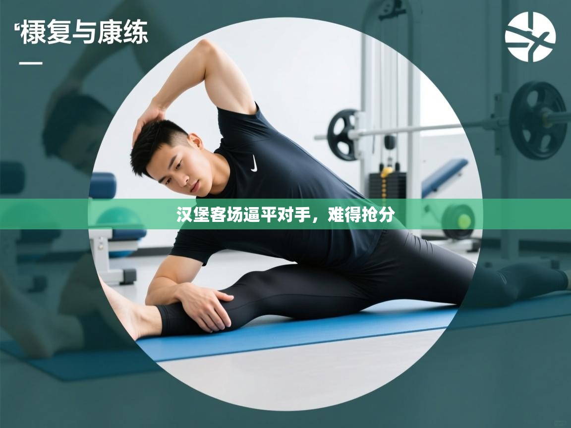 汉堡客场逼平对手,难得抢分 第2张